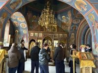 gallery1